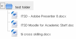 Folder content displayed on module homepage.